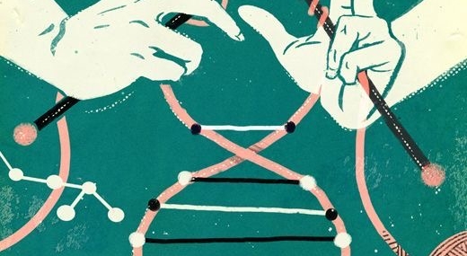 “Zeytin Ağacı” Terapisi; travma sonrası stres bozukluğu ve epigenetik