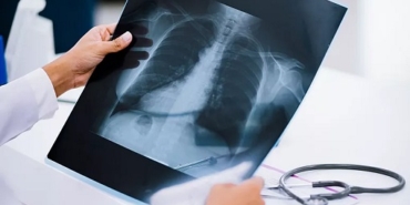 16933868161425839176