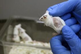 16934961821741096941