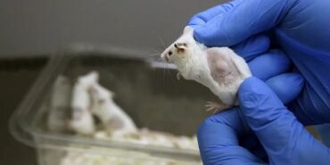 16934961821741096941