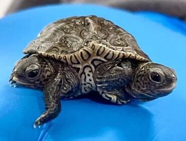 16934967731480192819