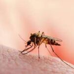 16937531921624870789