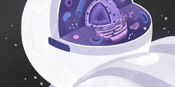 Astrobiyoloji: yaşamın izini sürmek