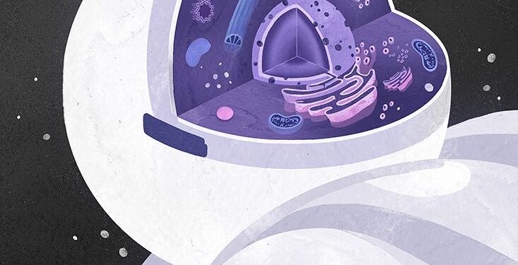 16938452772075403248