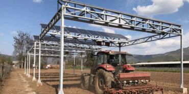 16942608591805866773