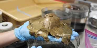 16949513331295600090