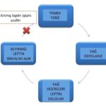 16958760911394763565