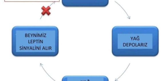 LEPTİN DİRENCİYLE İLGİLİ BİLİNMESİ GEREKENLER