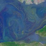 16964425881890991259