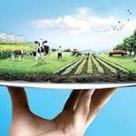 16973578802053068693