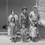 16982236831509002030